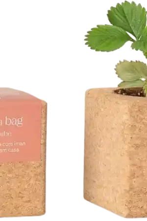 Life in a bag Grow Cube Aardbei - Voordelig