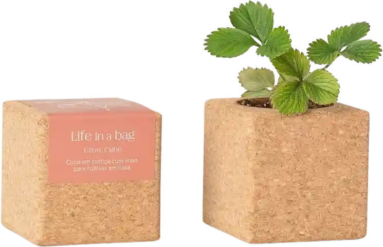 Life in a bag Grow Cube Aardbei - Voordelig