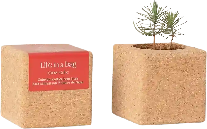 Alleen vandaag - Life in a bag Grow Cube Kerstboom