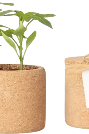 Life in a bag Grow Cork Chili | Fabrieksprijs