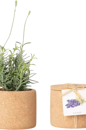 Life in a bag Grow Cork Lavendel | Speciale aanbieding