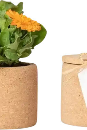 Life in a bag Grow Cork Goudsbloem - Uitverkoop