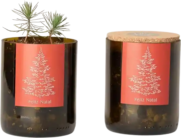 Bespaar nu | Life in a bag Bottle Garden Kerstboom