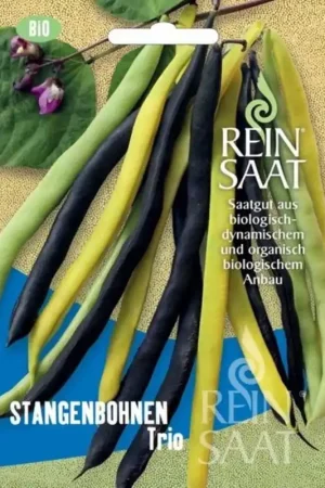 ReinSaat Bonen Trio | Nieuw binnengekomen