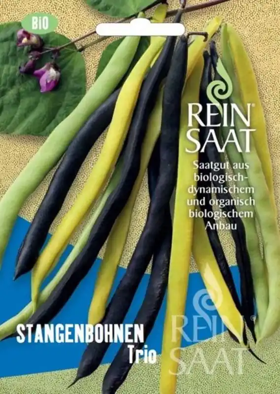 ReinSaat Bonen Trio | Nieuw binnengekomen