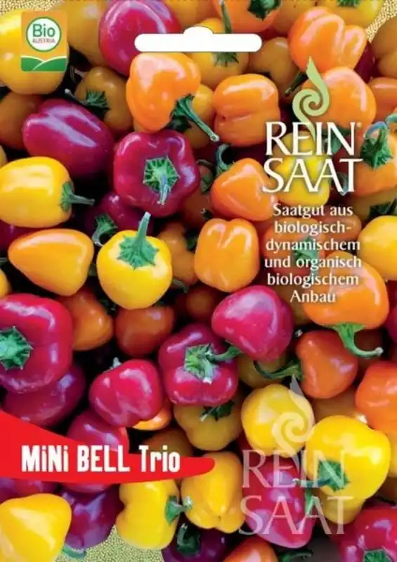 ReinSaat Paprika "Mini Bell Trio" - Premium