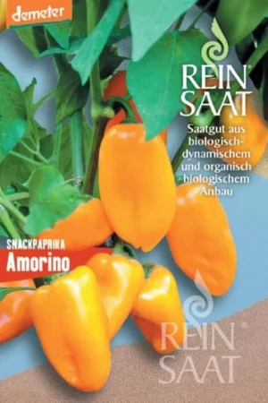 Nu beschikbaar | ReinSaat Snackpaprika "Amorino"