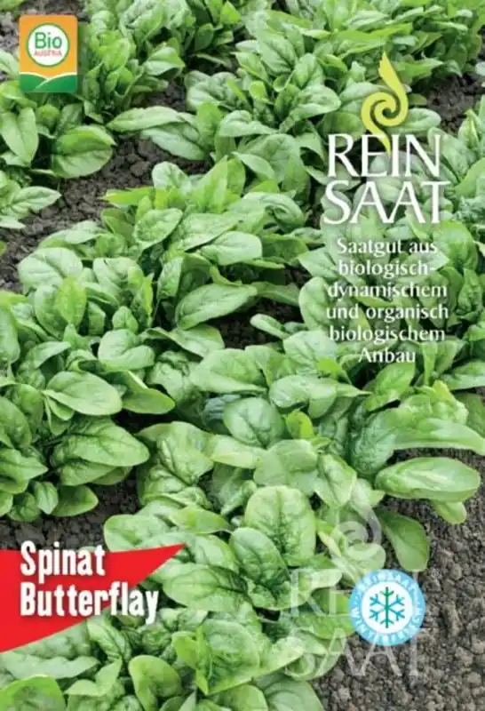 Voordeelprijs - ReinSaat Spinazie "Butterflay"