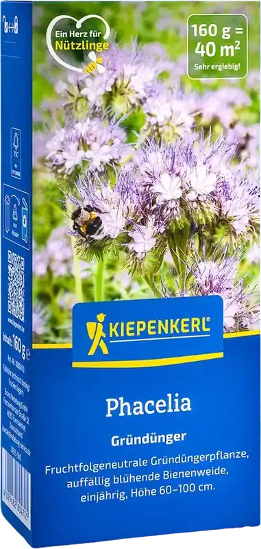 Kiepenkerl Phacelia, 160 g - Nu beschikbaar