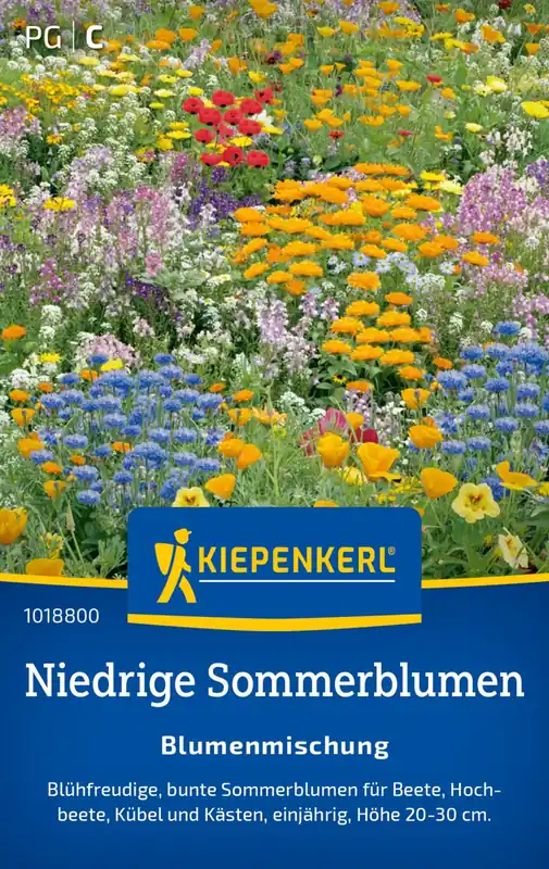 Kiepenkerl Lage Zomerbloemen Bloemenmix | Actieprijs