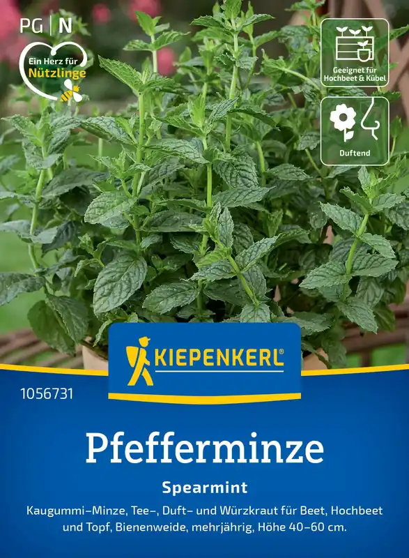 Kiepenkerl Pepermunt Spearmint | Trending