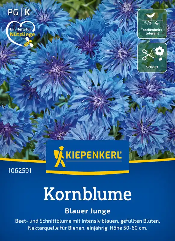 Kiepenkerl Korenbloem Blauer Junge - Topkwaliteit