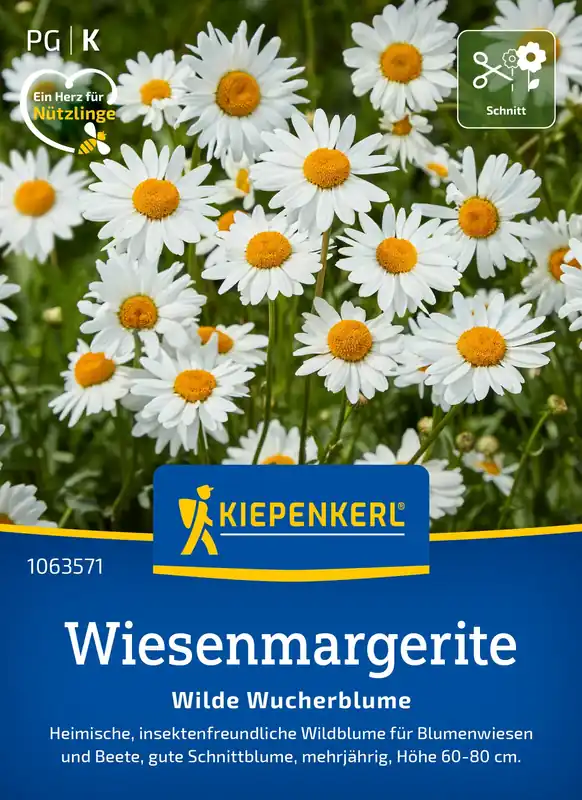 Outlet | Kiepenkerl Weidemargriet