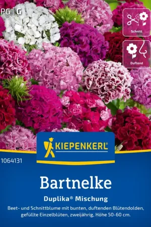 Actie | Kiepenkerl Duizendschoon Duplika® Mix