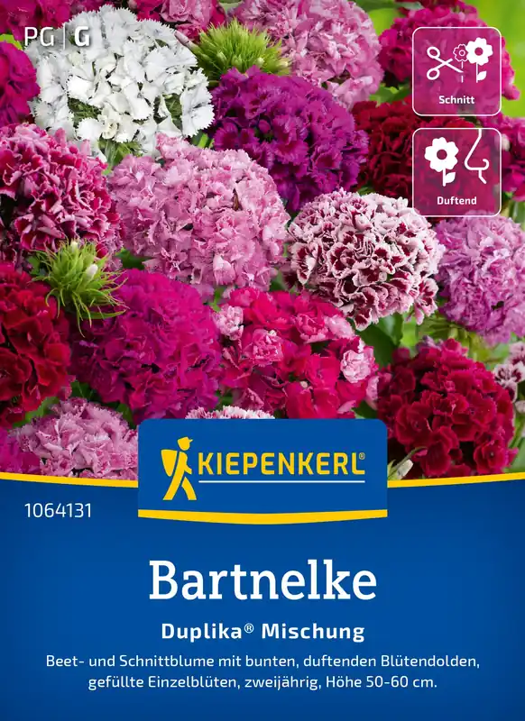 Actie | Kiepenkerl Duizendschoon Duplika® Mix