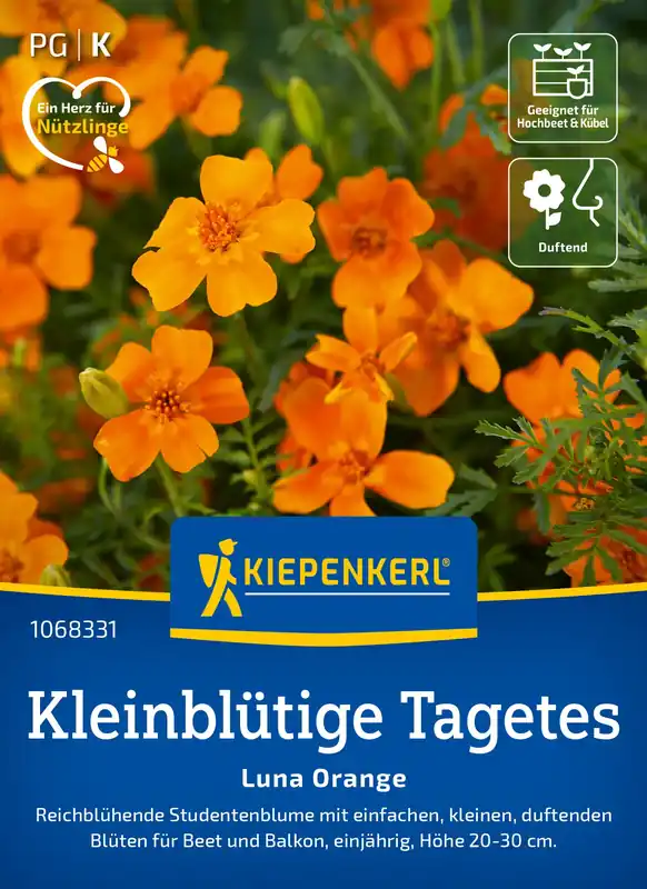 Lage prijs - Kiepenkerl Tagetes Luna Orange