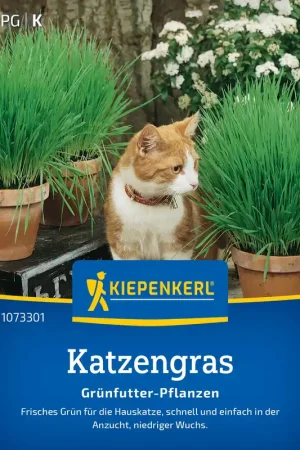 Verlaagde prijs | Kiepenkerl Kattengras Frischgrün Mix