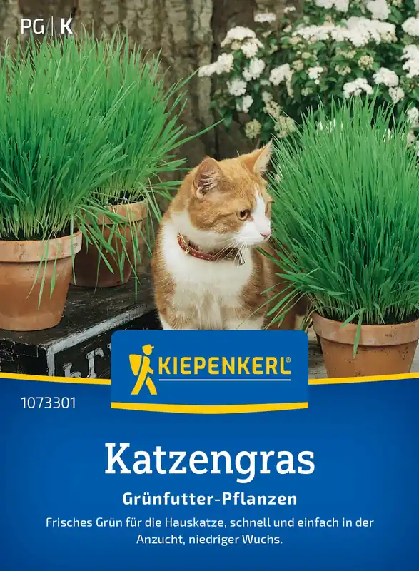 Verlaagde prijs | Kiepenkerl Kattengras Frischgrün Mix