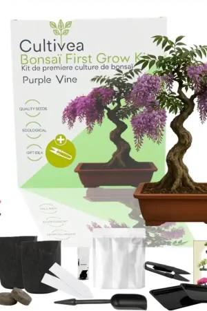 Populair - Cultivea Bonsai-Set "Purple Vine"