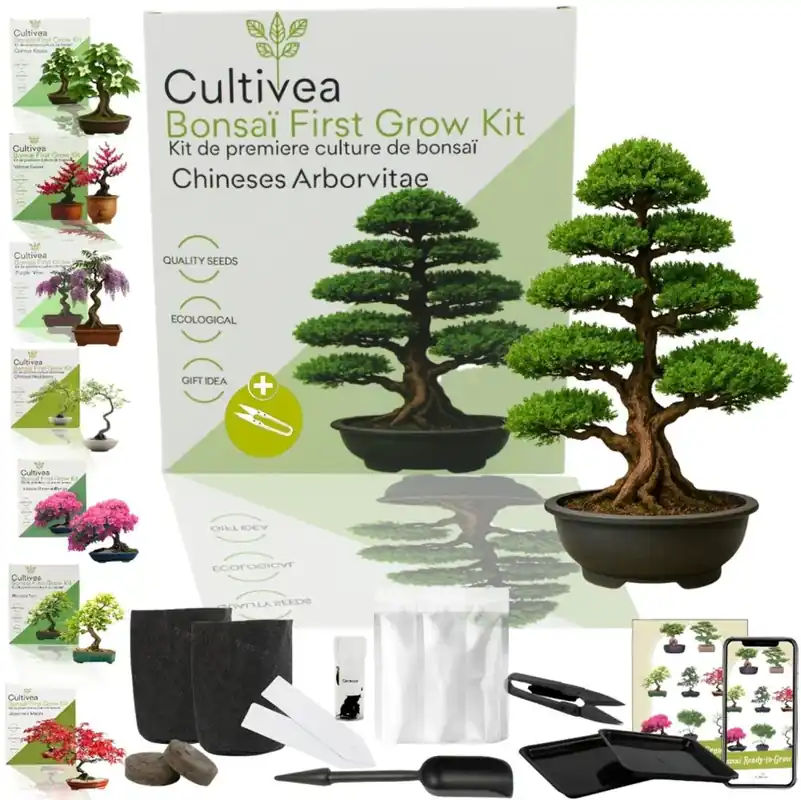 Cultivea Bonsai-Set "Arborvitae" - Trending