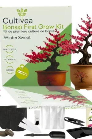 Cultivea Bonsai-Set "Winter Sweet" - Meest verkocht