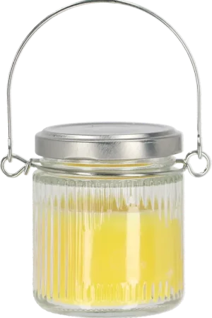Esschert Design Citronella Hangkaars in Potje | Speciale deal