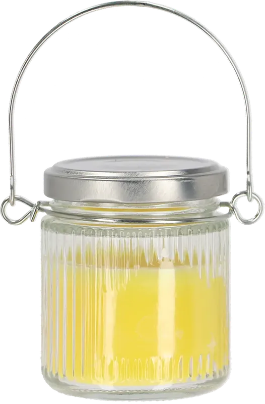 Esschert Design Citronella Hangkaars in Potje | Speciale deal