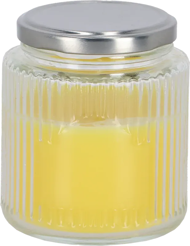 Koopje - Esschert Design Citronella Kaars in Pot