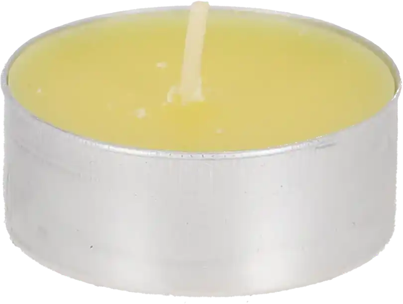 Esschert Design Citronella Waxinelichtjes, S (10 stuks) - Tijdelijke aanbieding