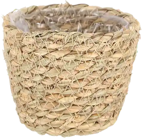 Esschert Design Plantenmand, Ø 12 cm | Bespaar meer