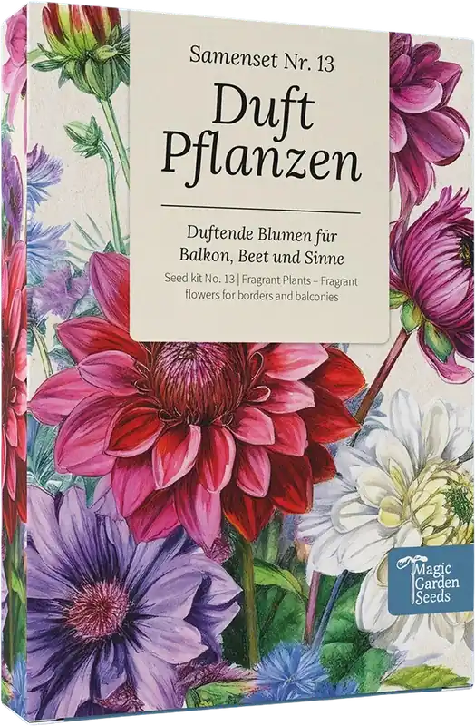 Magic Garden Seeds Geurende Planten Zadenset | Net gelanceerd