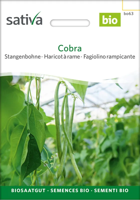 Speciale deal | Sativa Biologische Bonen "Cobra", 20 g