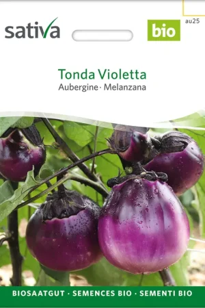 Bestelbaar | Sativa Biologische Aubergine "Tonda Violetta"