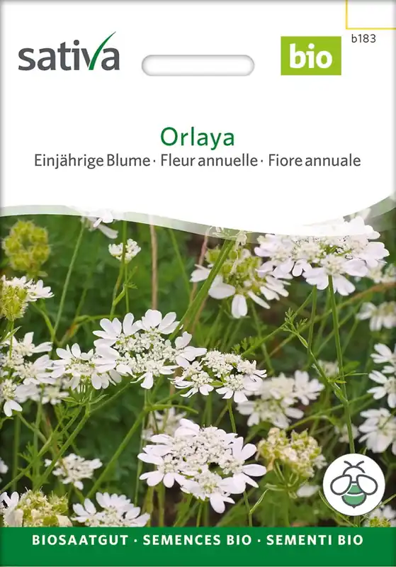 Sativa Biologische Eenjarige Bloem "Orlaya", 0,50 g - Goed beoordeeld