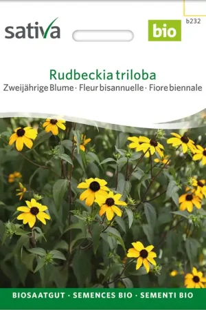 Trending - Sativa Biologische Tweejarige Bloem "Rudbeckia triloba", 0,25 g