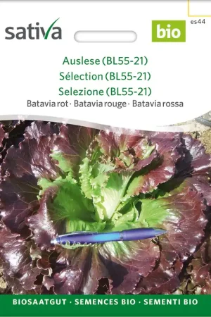 Bestseller - Sativa Biologische Kropsla "Batavia rot Colombina", 0,25 g