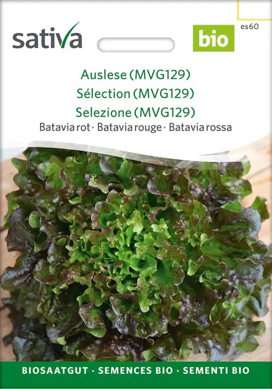 Sativa Biologische Kropsla "Batavia rot - Auslese MVG129", 0,25 g | Bespaar meer
