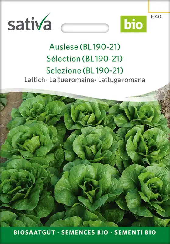 Nieuw binnen - Sativa Biologische Kropsla "Lattich Pulcinella", 0,25 g