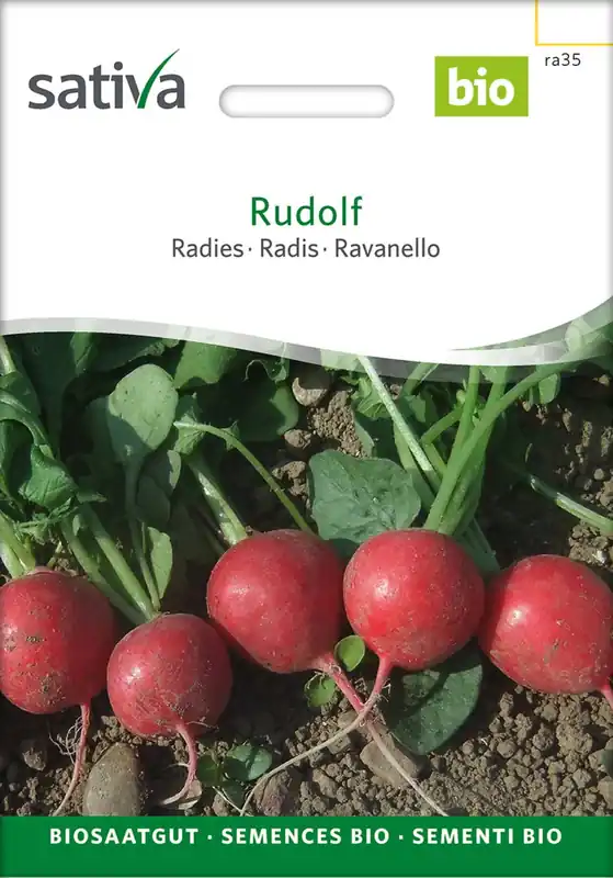 Sativa Biologische Radijs "Rudolf", 5 g | Laatste stuks