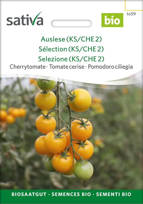 Nu beschikbaar - Sativa Biologische Cherrytomaat "Mareile"