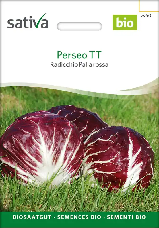 Pak je kans - Sativa Biologische Wilde Cichorei Palla rossa "PerseoTT", 1,25 g
