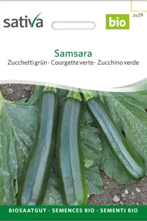 Trending - Sativa Biologische Groene Sierpompoen "Samsara"