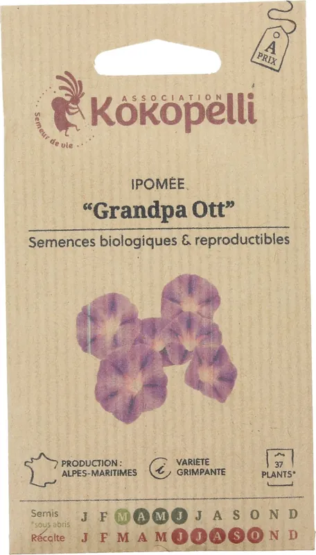 Gratis retourneren | Kokopelli Biologische Dagwinde "Grandpa Ott", 50 Korrels