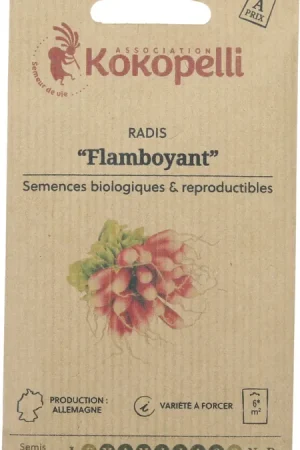 Bestelbaar | Kokopelli Biologische Tuinradijs "French Breakfast", 6 g