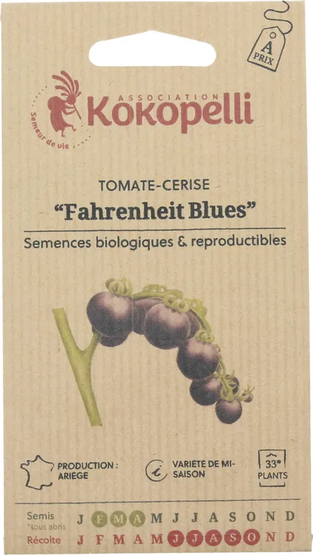 Aanbieding | Kokopelli Biologische Indigo Cherrytomaat "Fahrenheit Blues", 35 Korrels