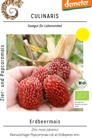 Premiumkwaliteit | Culinaris Bio Aardbeienmaïs, 40 Korrels