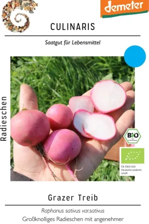 Culinaris Bio Radijs "Grazer Treib", 3,50 g - Nieuw