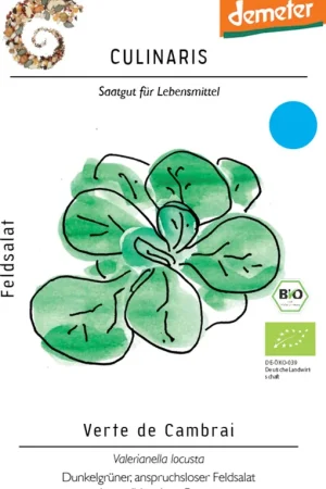 Nieuw product - Culinaris Bio Veldsla "Verte de Cambrai", 3 g