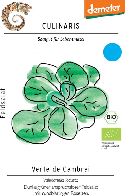 Nieuw product - Culinaris Bio Veldsla "Verte de Cambrai", 3 g