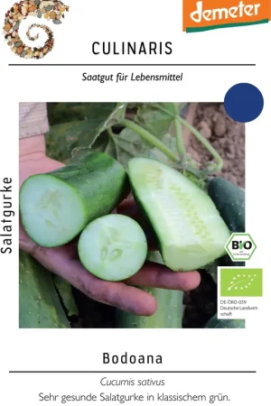 Nu beschikbaar | Culinaris Bio Komkommer "Bodoana", 12 Korrels